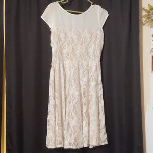 Danny and Nichole Taupe and Lace dress